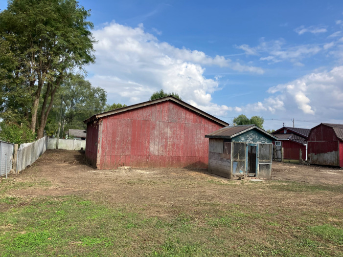 Tree and brush removed
