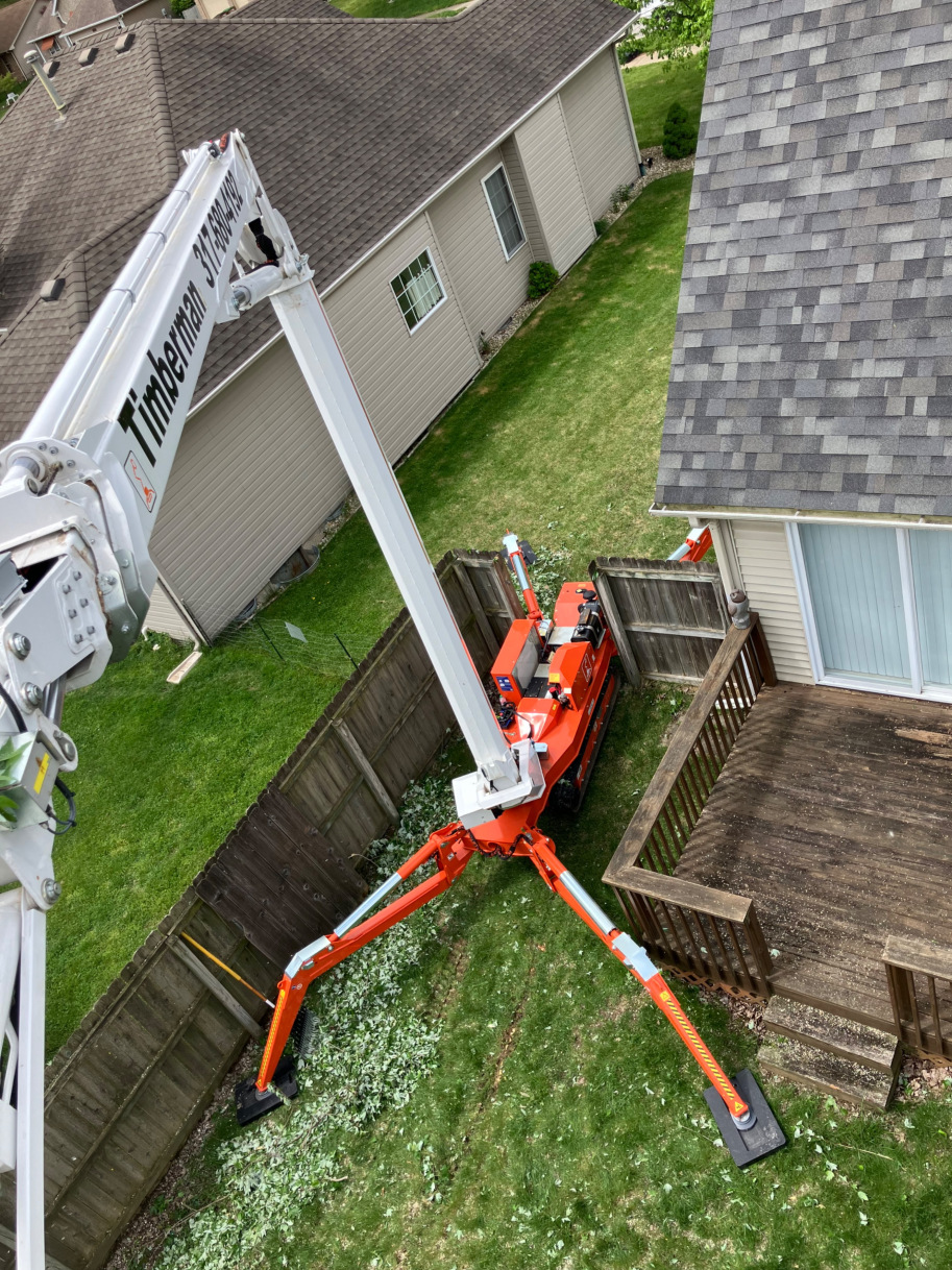 Small space tree removal