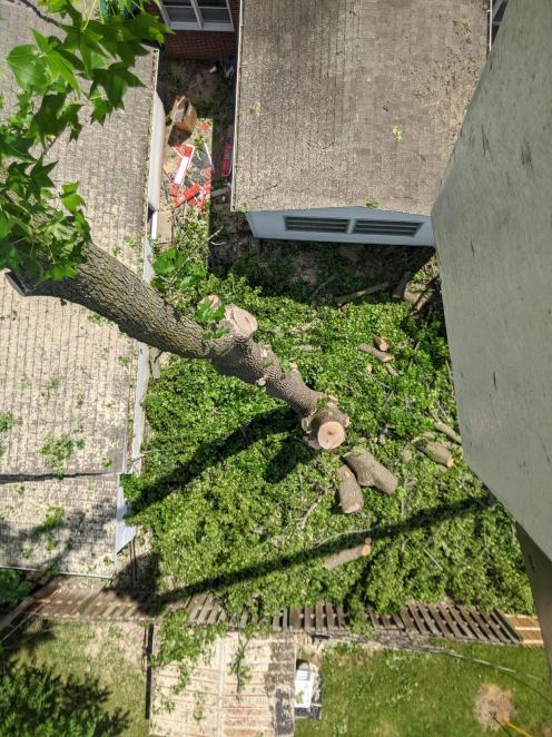 Backyard removal Columbus indiana