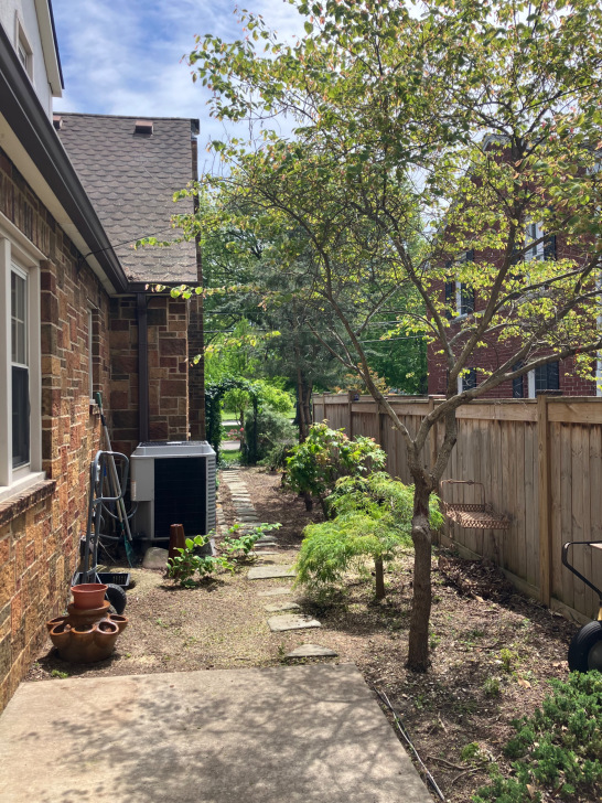 Tree removed area enhanced 